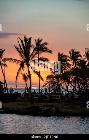 Tramonto sotto le palme, 'Anaeho'omalu Beach, Waikoloa, Big Island, Hawaii, USA Foto Stock