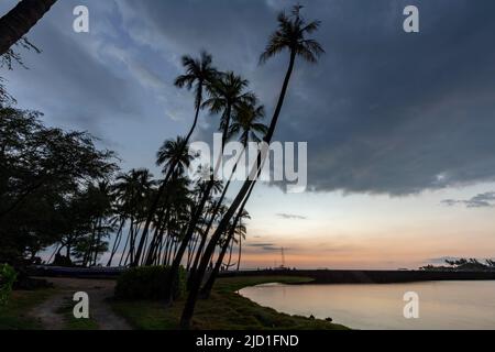 Tramonto sotto le palme a 'Anaeho'omalu Beach, Waikoloa, Big Island, Hawaii, Stati Uniti Foto Stock