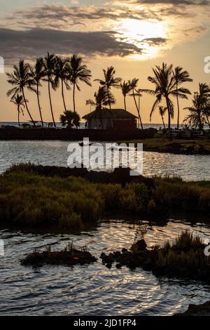 Tramonto sotto le palme, 'Anaeho'omalu Beach, Waikoloa, Big Island, Hawaii, USA Foto Stock