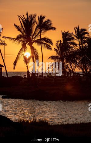 Tramonto sotto le palme, 'Anaeho'omalu Beach, Waikoloa, Big Island, Hawaii, USA Foto Stock