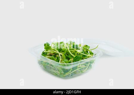 Girasole spara e germogli in una scatola di plastica su uno sfondo isolato vuoto. Insalata verde Microgreen per mangiare. Cibi crudi sani, dieta, concetto vegano. Foto di alta qualità Foto Stock