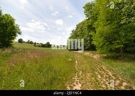 Un percorso polveroso intorno al campo in primavera sotto il cielo blu con le nuvole. Foto Stock