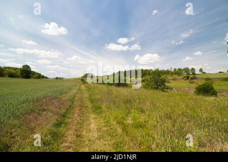 Un percorso polveroso intorno al campo in primavera sotto il cielo blu con le nuvole. Foto Stock