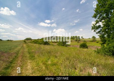 Un percorso polveroso intorno al campo in primavera sotto il cielo blu con le nuvole. Foto Stock