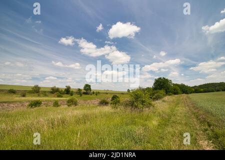 Un percorso polveroso intorno al campo in primavera sotto il cielo blu con le nuvole. Foto Stock