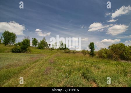 Un percorso polveroso intorno al campo in primavera sotto il cielo blu con le nuvole. Foto Stock