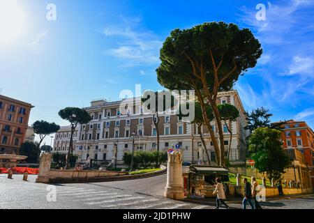 Circa 2019: Roma, Italia - alberi di Umbrella Pines. Edifici sullo sfondo. Giorno di sole. Cielo blu. Foto di alta qualità Foto Stock