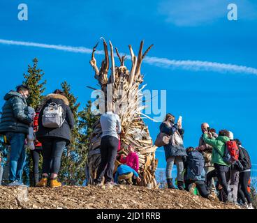 Drago Vaia (Drago Vaia). La scultura è opera dell'artista Marco Martalar. Lavarone, Alpe cimbra, Trentino Alto Adige, Italia settentrionale. Foto Stock