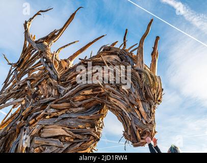 Drago Vaia (Drago Vaia). La scultura è opera dell'artista Marco Martalar. Lavarone, Alpe cimbra, Trentino Alto Adige, Italia settentrionale. Foto Stock