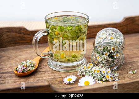 Pianta erboristica essiccata Daisy comune, anche noto come Bellis perennis. Fiori secchi in vaso di vetro e tè alle erbe in vetro, ancora interni Foto Stock