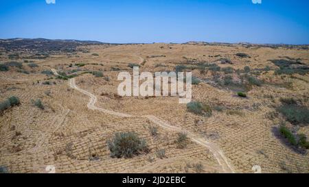 (220617) -- YINCHUAN, 17 giugno 2022 (Xinhua) -- Foto aerea scattata il 16 giugno 2022 mostra una vista della riserva ecologica nazionale di Baijitan di Lingwu, regione autonoma di Ningxia Hui nella Cina nord-occidentale. Grazie a tre generazioni di sforzi dedicati per il controllo della sabbia, è stata creata un'oasi di 42.000 ettari nella riserva ecologica nazionale di Baijitan di Lingwu, sul bordo sud-ovest del vasto deserto di Maowu. L'oasi è diventata ora un'importante barriera protettiva per il sistema ecologico nella Cina nord-occidentale. Per controllare efficacemente il deserto, la gente del posto si è dedicata allo sviluppo Foto Stock