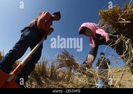 Pechino, provincia cinese di Gansu. 6th Mar 2020. Guo Xi (L), lavoratore di controllo della sabbia di Babusha Forest Farm, fa la paglia scacchiera barriere di sabbia nella contea di Gulang, provincia di Gansu della Cina nord-occidentale, 6 marzo 2020. PER ANDARE CON XINHUA TITOLI DEL 17 GIUGNO 2022 credito: Fan Peishen/Xinhua/Alamy Live News Foto Stock