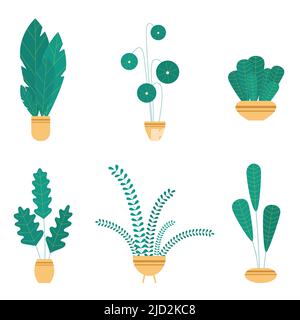 Piantine e fiori di casa in vasi di ceramica. Piante e foglie di casa stile piatto su sfondo bianco. Stile Hygge. Elementi botanici vettoriali alla moda. Illustrazione Vettoriale