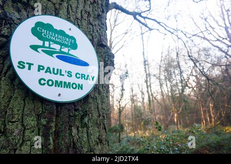 St Pauls Cray Common, Chislehurst, Kent, Regno Unito. A Londra Borough di Bromley, nel sud-est di Londra. Foto Stock