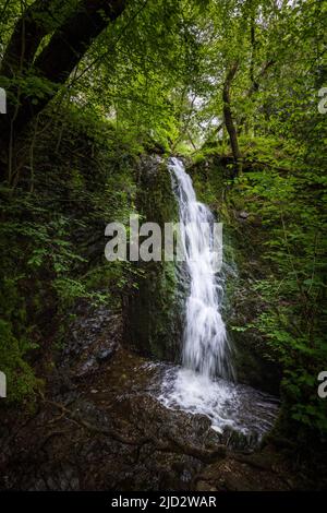 Le cascate di Tom Gill sotto Tarn Hows, Lake District, Inghilterra Foto Stock