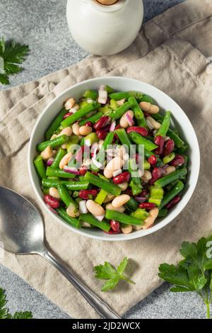 Insalata di fagioli biologici fatti in casa con rene verde e cannellini Foto Stock