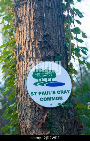 St Pauls Cray Common, Chislehurst, Kent, Regno Unito. A Londra Borough di Bromley, nel sud-est di Londra. Foto Stock