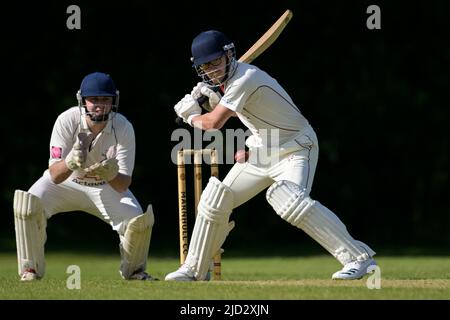 Cricket battitore in azione. Foto Stock