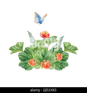 Set di composizioni Cloudberry. Foresta in miniatura. Bacche d'oro succose, foglie verdi e farfalla blu isolate su sfondo bianco. Foto Stock