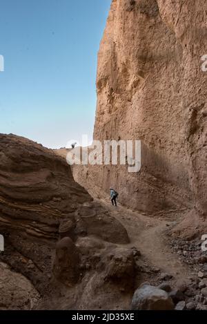 Gli escursionisti alla Cattedrale Rossa nella Valle della morte salendo l'ultima ripida sezione del sentiero sotto le alte e ripide pareti rosse del canyon, in questa popolare escursione di un giorno. Foto Stock