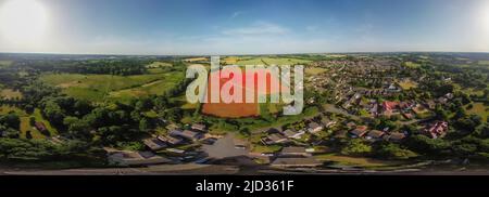 Una vista aerea a 360 gradi dei papaveri in fiore in un campo vicino a Ipswich, Regno Unito Foto Stock