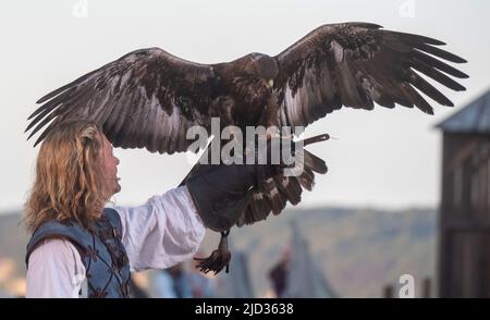 Ralswiek, Germania. 16th giugno 2022. Moritz Stephan come Klaus Störtebeker suona con l'aquila Laran in una scena del festival di Stoertebeker. Ora ritorna il Störtebeker Festival. Si tratta di amore, ma anche macchinazioni scure gettano le loro ombre. Il gioco "in the face of the wolf" con i leggendari pirati Klaus Störtebeker e Goedeke Michels ha la sua prima sull'isola di Rügen su 18. 06,2022. Credit: Stefan Sauer/dpa/Alamy Live News Foto Stock