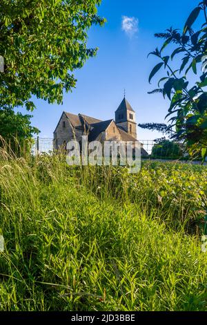 12th C chiesa di Sainte-Agathe e Champagne vitigni a Villers-Allerand, Marne (51), Francia. Foto Stock