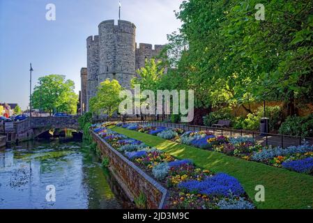 Regno Unito, Kent, Canterbury, Westgate Towers e Great Stour River Foto Stock