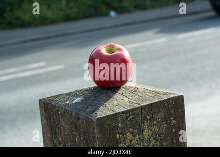 Londra, Regno Unito. 17th giugno 2022. Una mela a Hollow stagno, Londra, Regno Unito. – 17 giugno 2022. Credit: Vedi li/Picture Capital/Alamy Live News Foto Stock