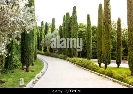 Una strada sterrata tortuosa profonda nel parco pubblico, giardino botanico con alti cipressi potati in fila e arbusti. Viaggio nella natura su una soleggiata estate da Foto Stock