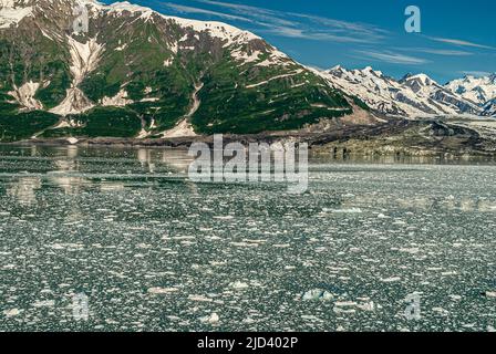 Dischantment Bay, Alaska, USA - 21 luglio 2011: Acqua dell'oceano verdastra coperta con pezzi galleggianti di ghiaccio di fronte al fianco boschivo di montagna con corto Foto Stock