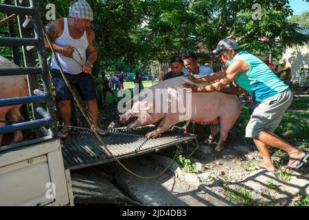 Zamboanguita, Filippine - Giugno 2022: Venditori di suini nel mercato Malatapay il 15 giugno 2022 a Zamboanguita, Negros Oriental, Filippine. Foto Stock