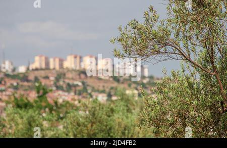 Varsak distretto della città di Antalya, vista dai polmoni verdi - parco urbano. Ambiente ecologico e dintorni Foto Stock