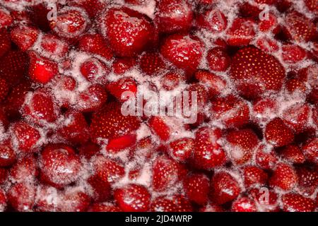 Marmellata di fragole che simmering leggermente, dettaglio primo piano, vista dall'alto. Bella marmellata di fragole in cottura. Marmellata di fragole fatta in casa bollente. Preparazione di una marmellata di fragole fatta in casa. Far bollire la frutta in una padella Foto Stock