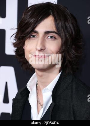 WEST HOLLYWOOD, LOS ANGELES, CALIFORNIA, USA - 17 GIUGNO: L'attore americano Aidan Gallagher arriva alla prima mondiale della stagione 3 della "Accademia dell'ombrello" di Netflix, che si tiene a Londra West Hollywood a Beverly Hills il 17 giugno 2022 a West Hollywood, Los Angeles, California, USA. (Foto di Xavier Collin/Image Press Agency) Foto Stock