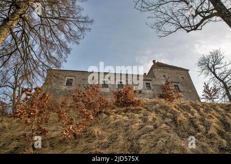 Castello di Svirzh, Ucraina. È una residenza aristocratica fortificata nella regione di Lviv. Fu originariamente costruito dalla nobile famiglia Swirski nel 15th centu Foto Stock