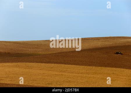 campagna in Molise Foto Stock