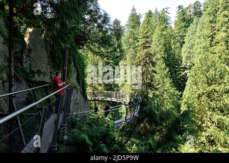 VANCOUVER, BRITISH COLUMBIA, CANADA, 31 MAGGIO 2019: I visitatori che esplorano la scogliera di Capilano camminano attraverso la foresta pluviale. I famosi passaggi sospesi si spremiano Foto Stock