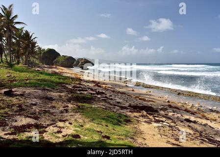 Cielo blu sopra la spiaggia di Bathsheba, costa orientale dell'isola Barbados, Isole Caraibi Foto Stock