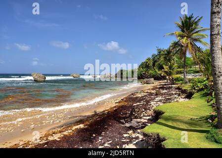 Cielo blu sopra la spiaggia di Bathsheba, costa orientale dell'isola Barbados, Isole Caraibi Foto Stock