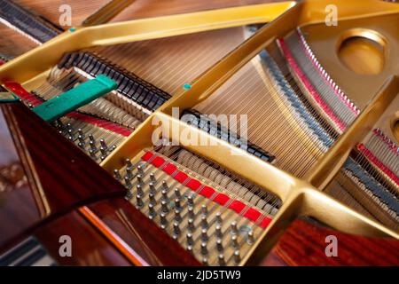 Primo piano, vista dall'alto, della struttura a corde interna di un pianoforte a coda. Foto Stock