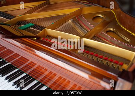 Primo piano, vista dall'alto, della struttura a corde interna di un pianoforte a coda. Foto Stock