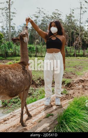 giovane femmina nutre cervi in fattoria a racabali bandung indonesia Foto Stock