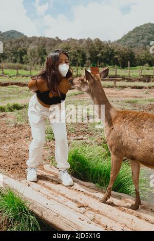 giovane donna interagisce con cervi in fattoria a racabali bandung indonesia Foto Stock