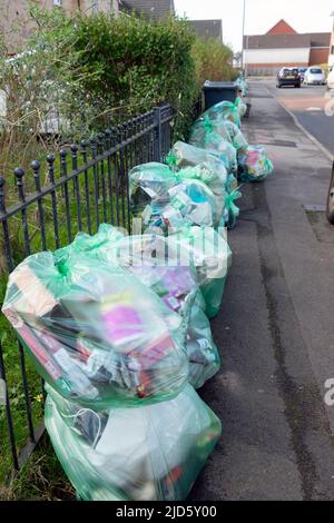 Fila di verde trasparente riciclaggio sacchi di rifiuti cor collezione lungo una strada di nuove case di costruzione a Cardiff Galles UK KATHY DEWITT Foto Stock