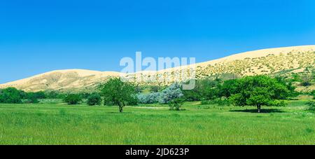 Paesaggio naturale con un enorme dune di sabbia Sarykum sullo sfondo Foto Stock