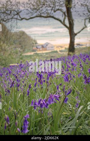 Tenuta Maenporth, Cornovaglia Foto Stock