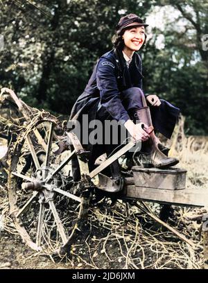 WW2 - British Home front, ottobre 1941 - la signora John Steel, figlia di Sir Bernard Spilsbury, patologo britannico, si presta la mano allo sforzo bellico. Membro del London Auxiliary Ambulance Service (L.A.A.S.) come autista, è vista qui sulla terra di una fattoria ospedaliera in Essex (dove è stitionata), contribuendo a scavare patate. Versione colorata di: 10998604 Data: 1941 Foto Stock