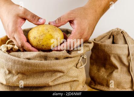 Mani che tengono le patate su sfondo bianco Foto Stock