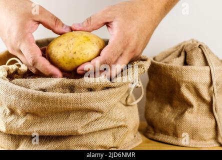 Mani che tengono le patate su sfondo bianco Foto Stock